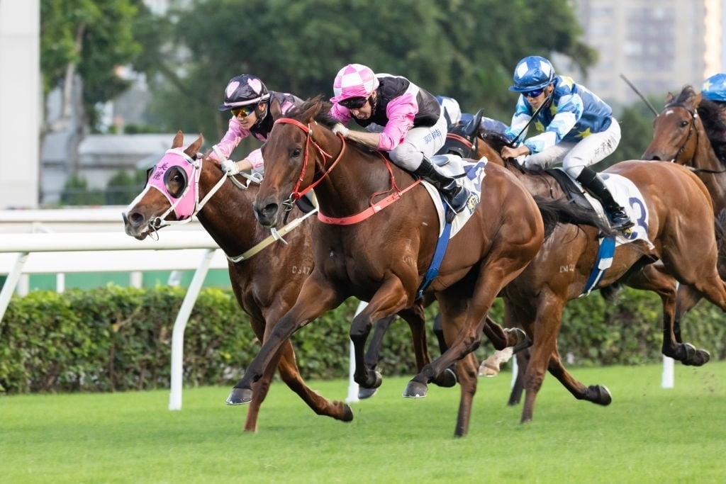 Hong Kong Horse Race